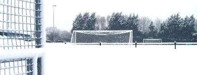 plain ham under snow, tracey hall