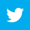 twitter bird