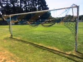 pre-season goal