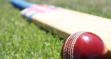 cricket